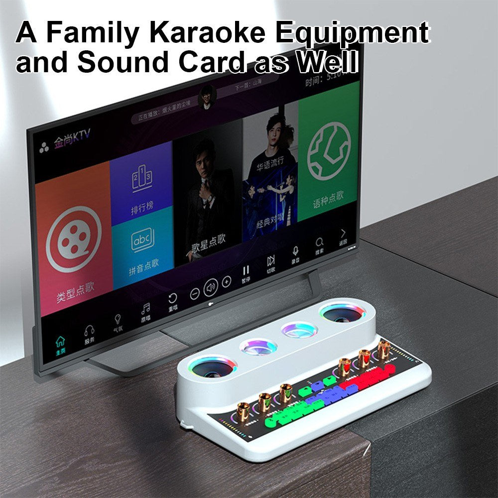 Portable Karaoke Machine Set: S20 Sound Card & Audio Equipment with 2 Microphones