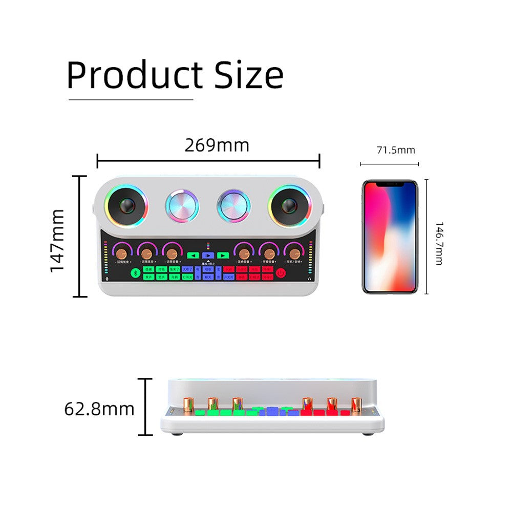 Portable Karaoke Machine Set: S20 Sound Card & Audio Equipment with 2 Microphones