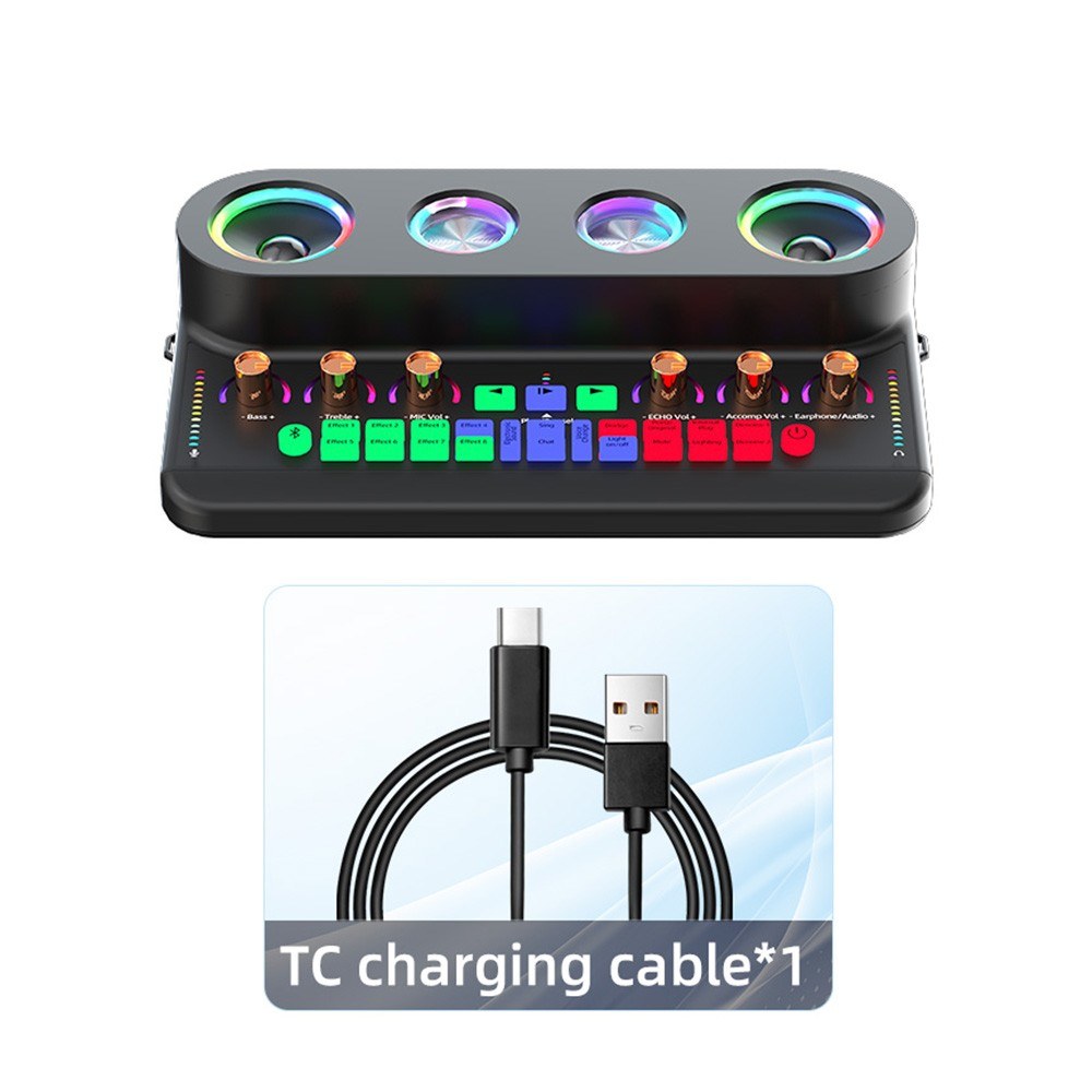 Portable Karaoke Machine Set: S20 Sound Card & Audio Equipment with 2 Microphones