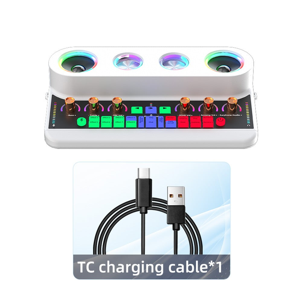 Portable Karaoke Machine Set: S20 Sound Card & Audio Equipment with 2 Microphones