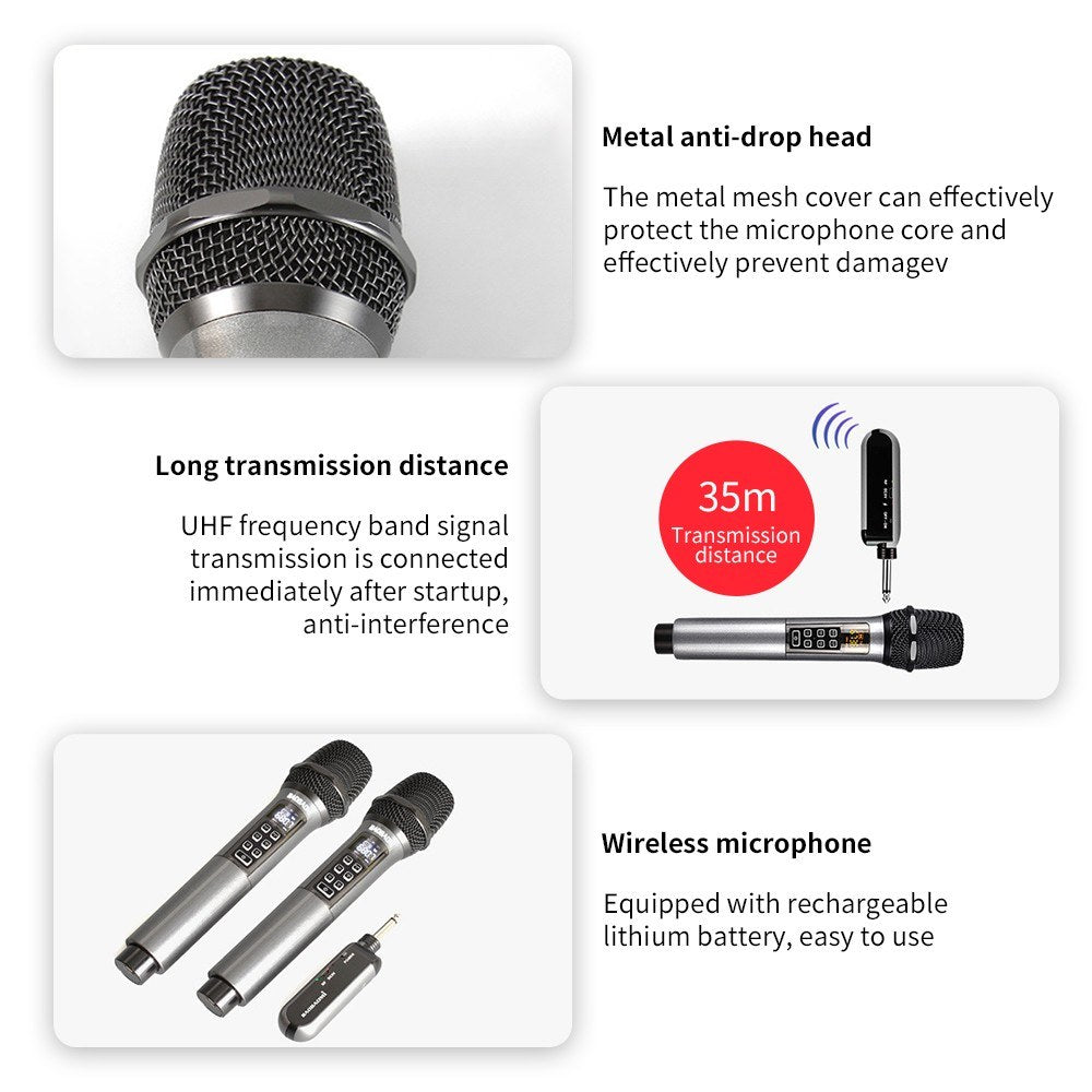 UHF Wireless Microphone System D300 - Includes Receiver & 1 Dynamic Mic