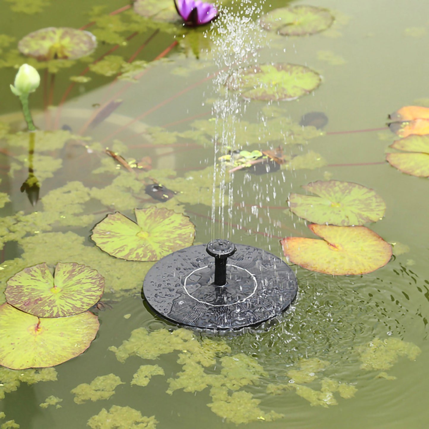 Floating Solar Fountain Pump for Bird Bath & Pools with 4 Spray Nozzles - Courtyard Landscape Fountain