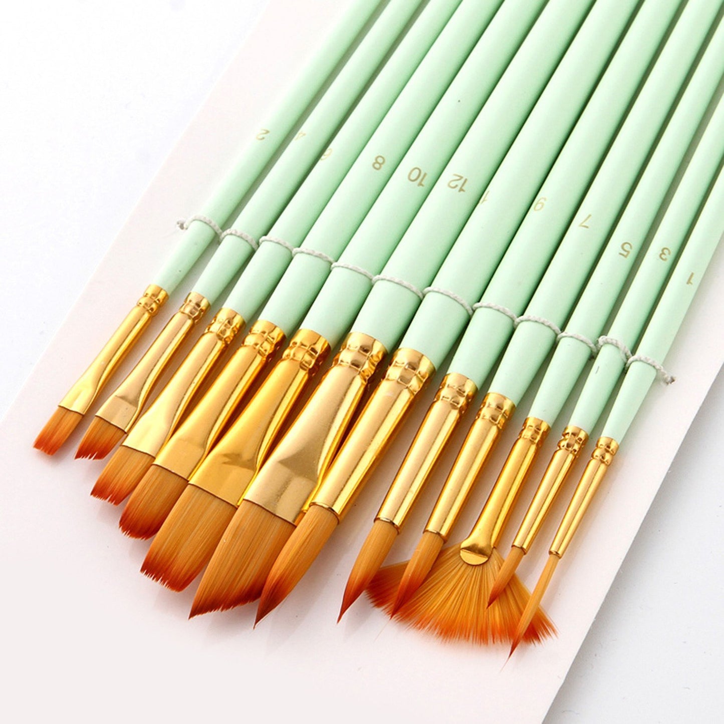 12-Piece Artist Paint Brush Set for Acrylic, Watercolor, Gouache & Oil Painting