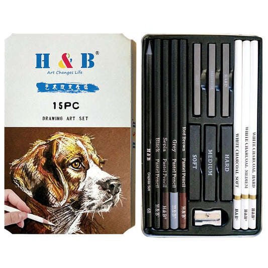 H&B 15-Piece Art Drawing Kit: White Charcoal & Pastel Pencil Set with Painting Tools