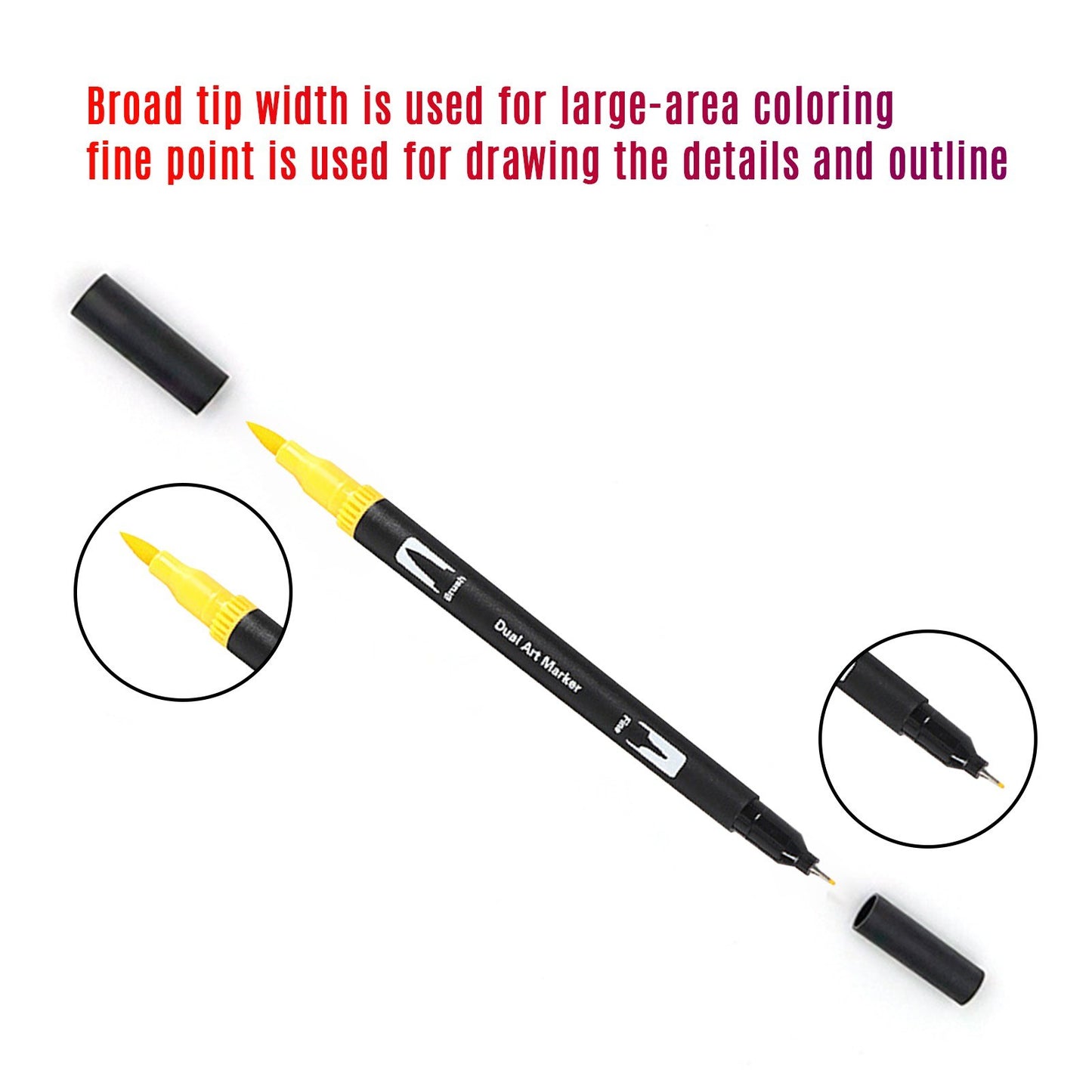 Dual Tip 12-Color Marker Set for Kids & Adults: Fine Point Art Pens for Coloring, Drawing, and Sketching