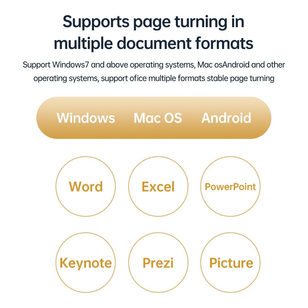 Wireless Laser Presentation Pointer Remote Control Pen for PowerPoint PPT (2.4G)