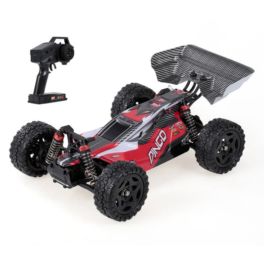 REMO HOBBY 1651 1/16 4WD RC Buggy Off-Road Drift Car, 35km/h 2.4GHz RTR