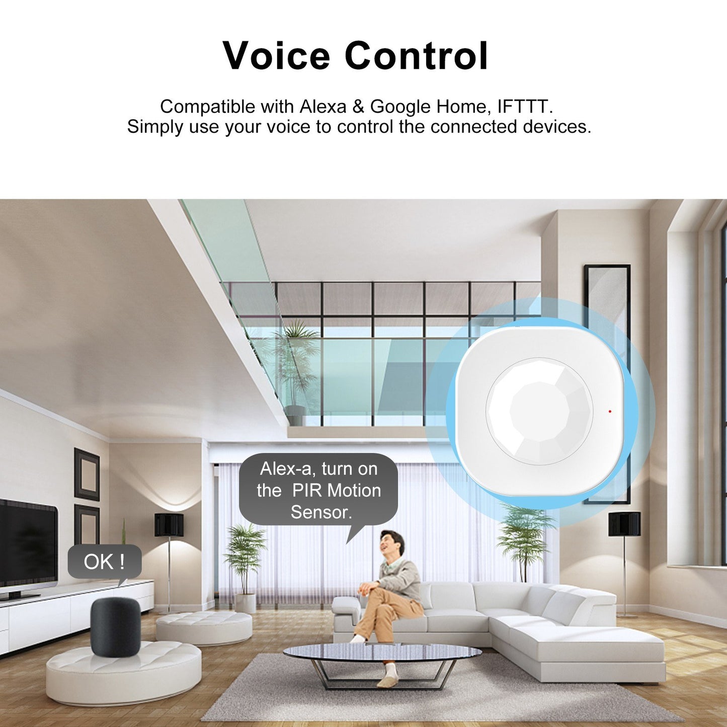 Smart WiFi PIR Motion Detector Sensor