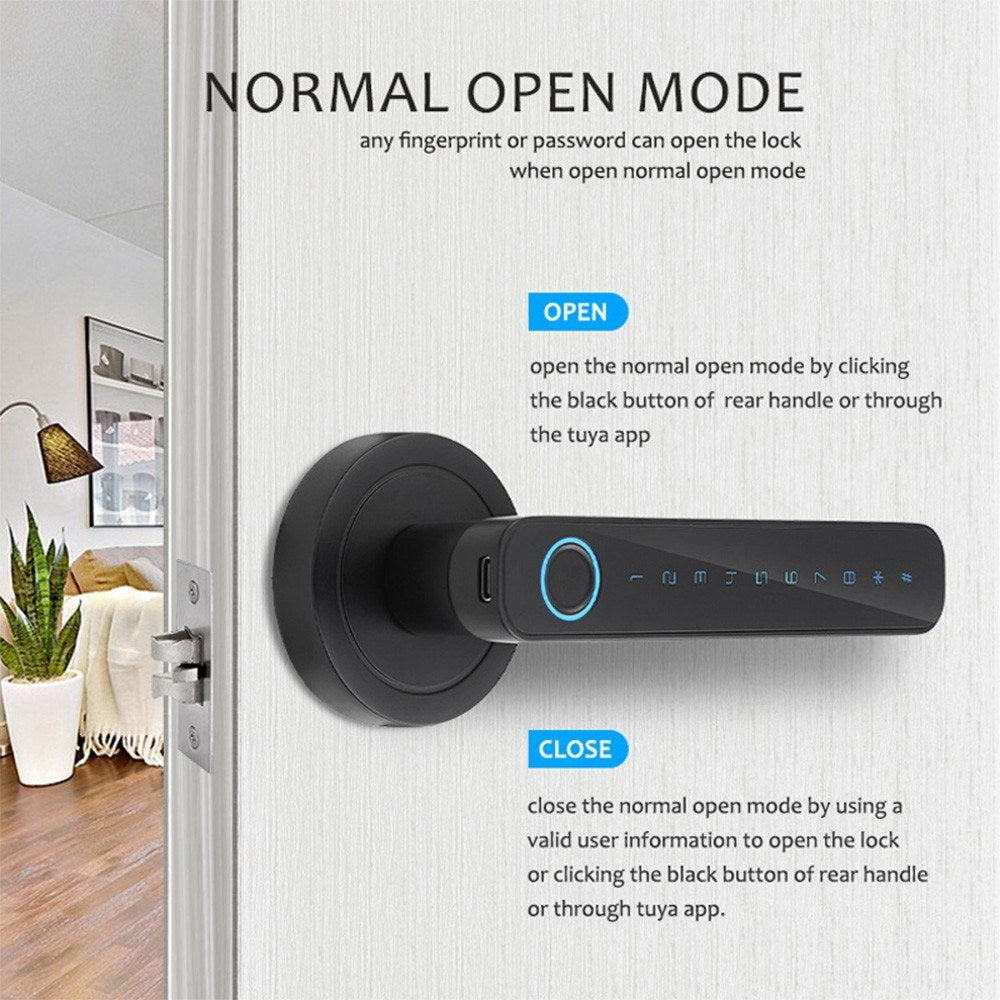Smart Biometric 4-in-1 Keyless Door Lock with Handle Set