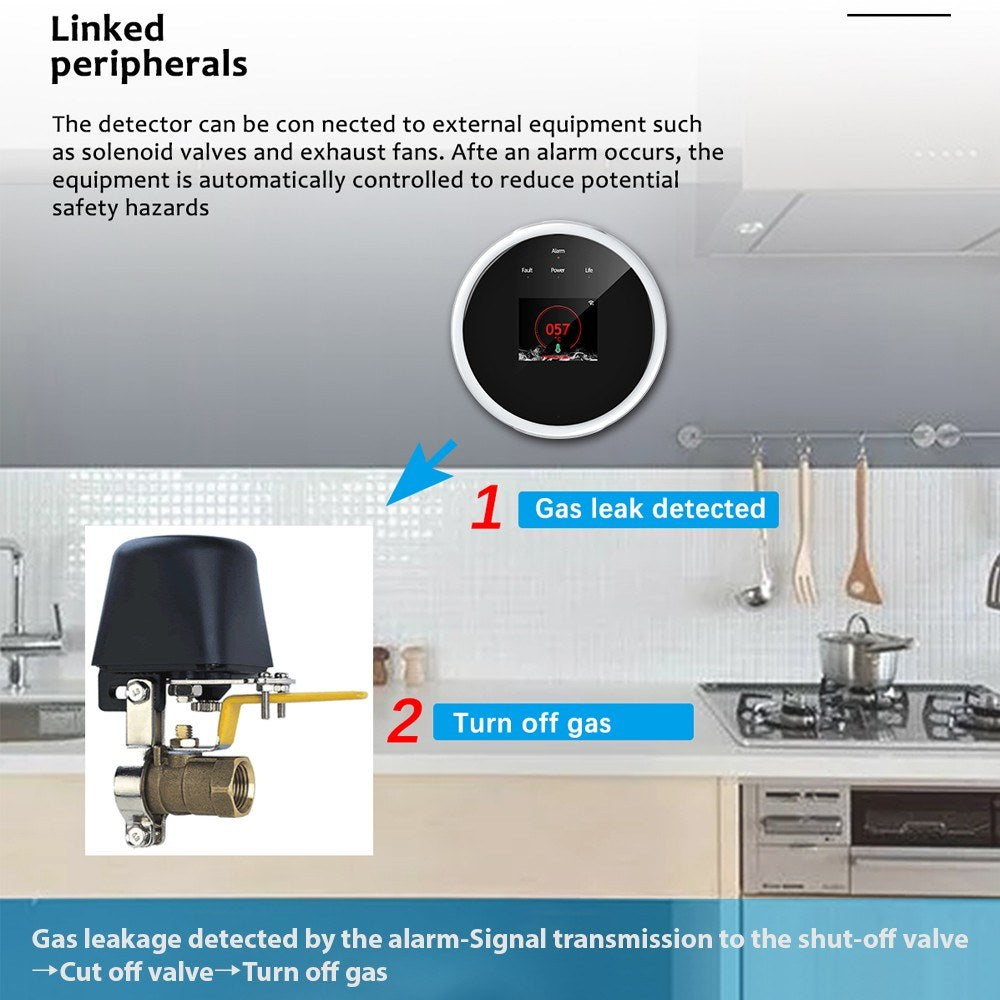 Smart WiFi Gas Leak Detector with Tuya App Control