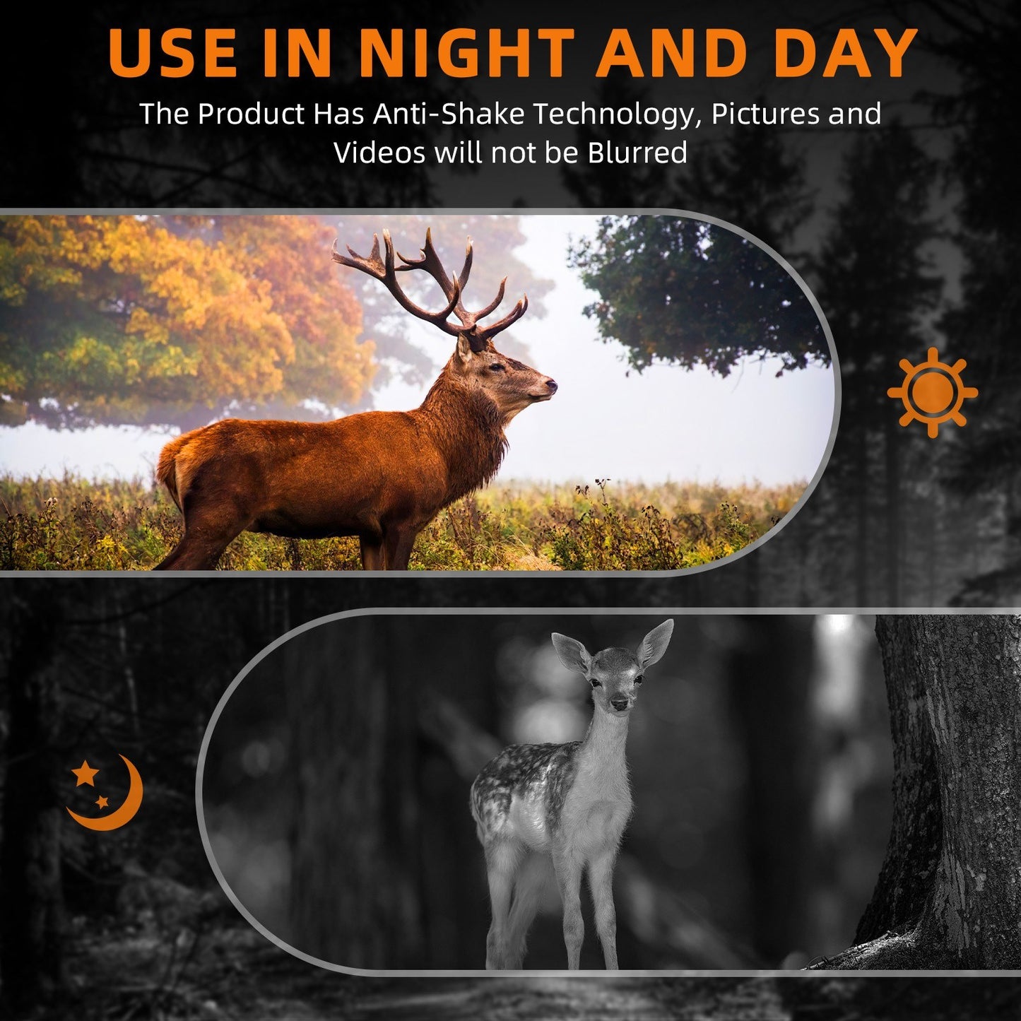 GTMEDIA N2 Night Vision Binoculars with 2.4 Screen, 5x Zoom, 1080P HD Video for Hunting & Wildlife Observation