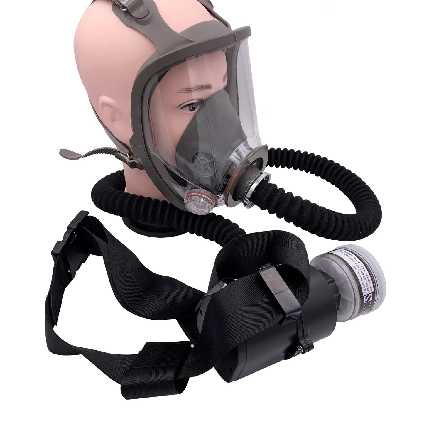 Electric Constant Flow Air Fed Respirator: Full Face Gas Mask for Spray Painting