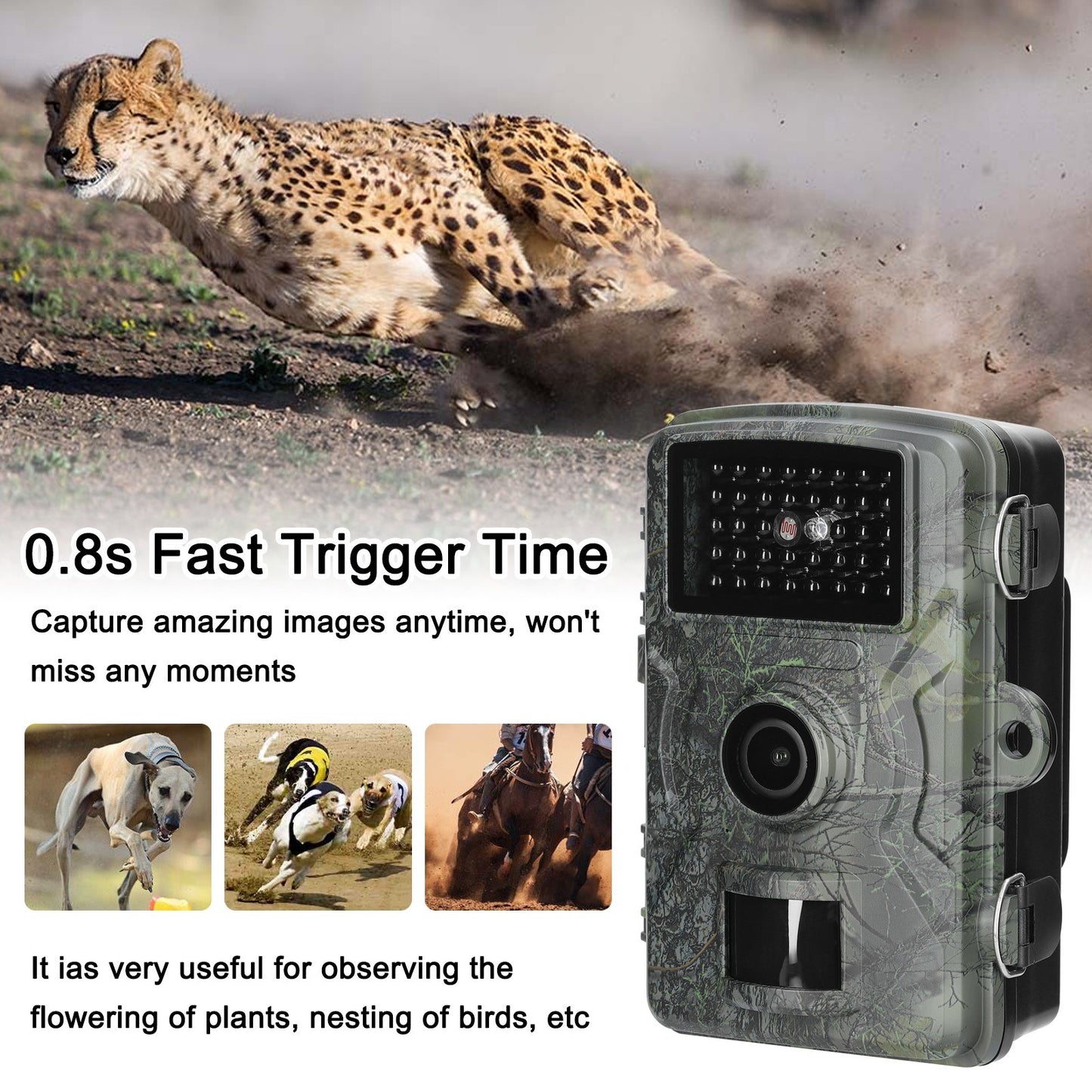 16MP 1080P Portable Outdoor Trail Camera for Wildlife Observation