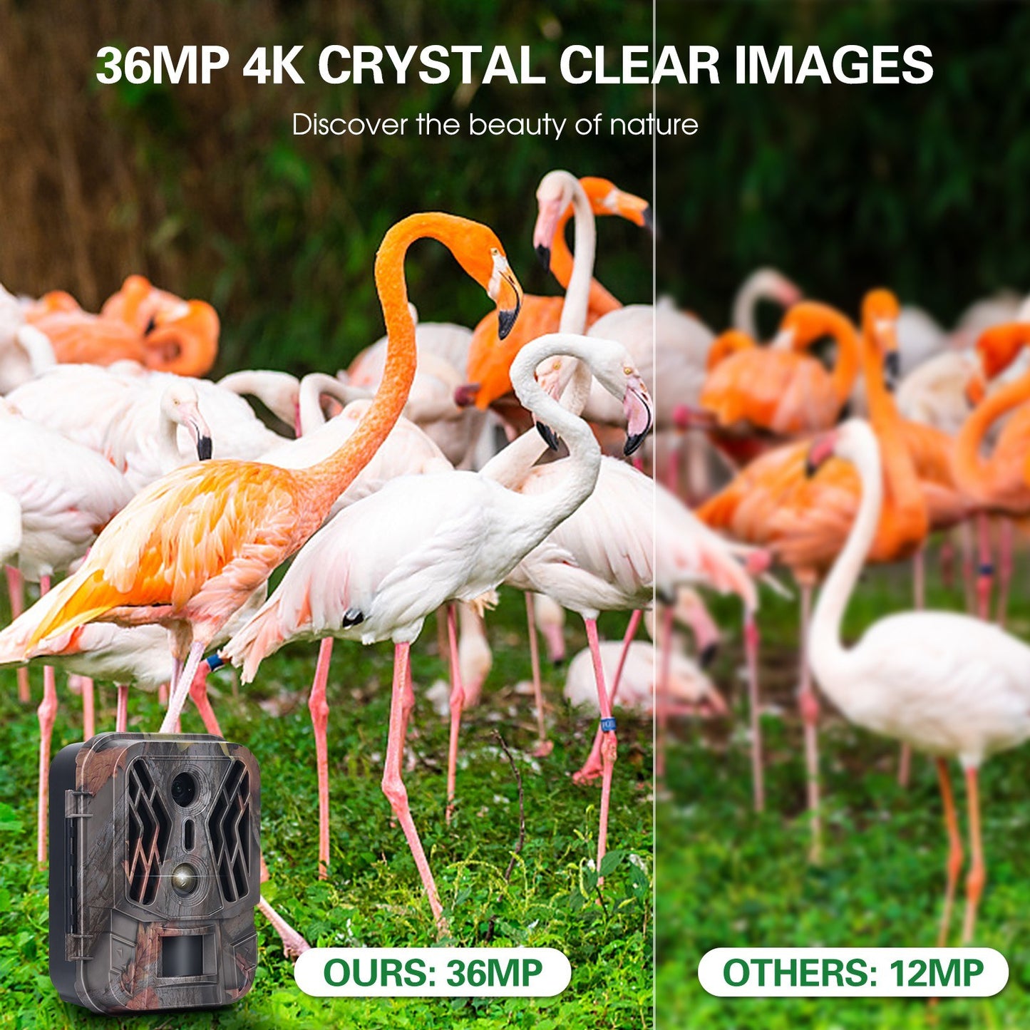 4K 36MP Dual Lens Trail Camera with 2.4 TFT Screen, Motion Activated, No Glow Night Vision, for Wildlife and Farm Security