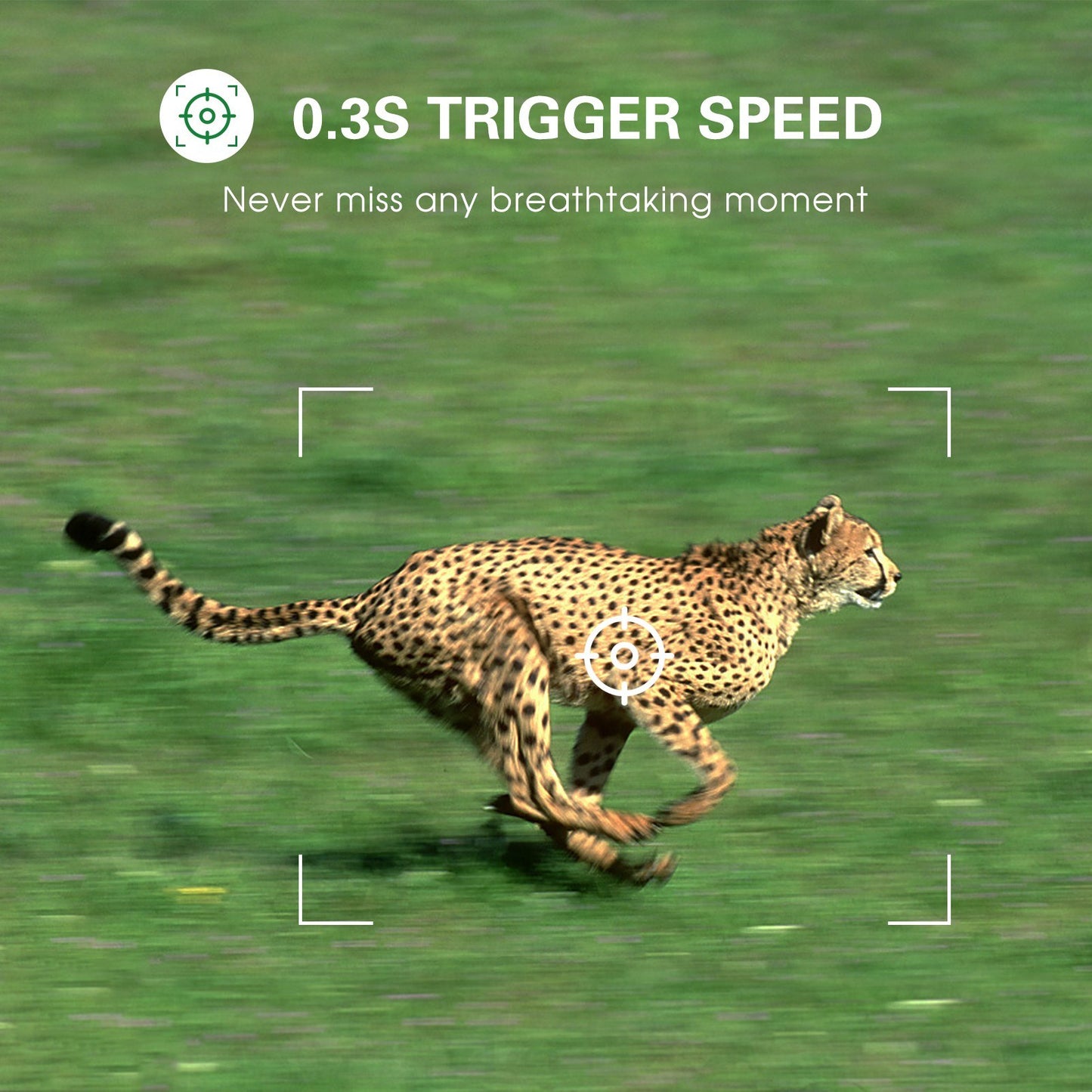 4K 36MP Dual Lens Trail Camera with 2.4 TFT Screen, Motion Activated, No Glow Night Vision, for Wildlife and Farm Security