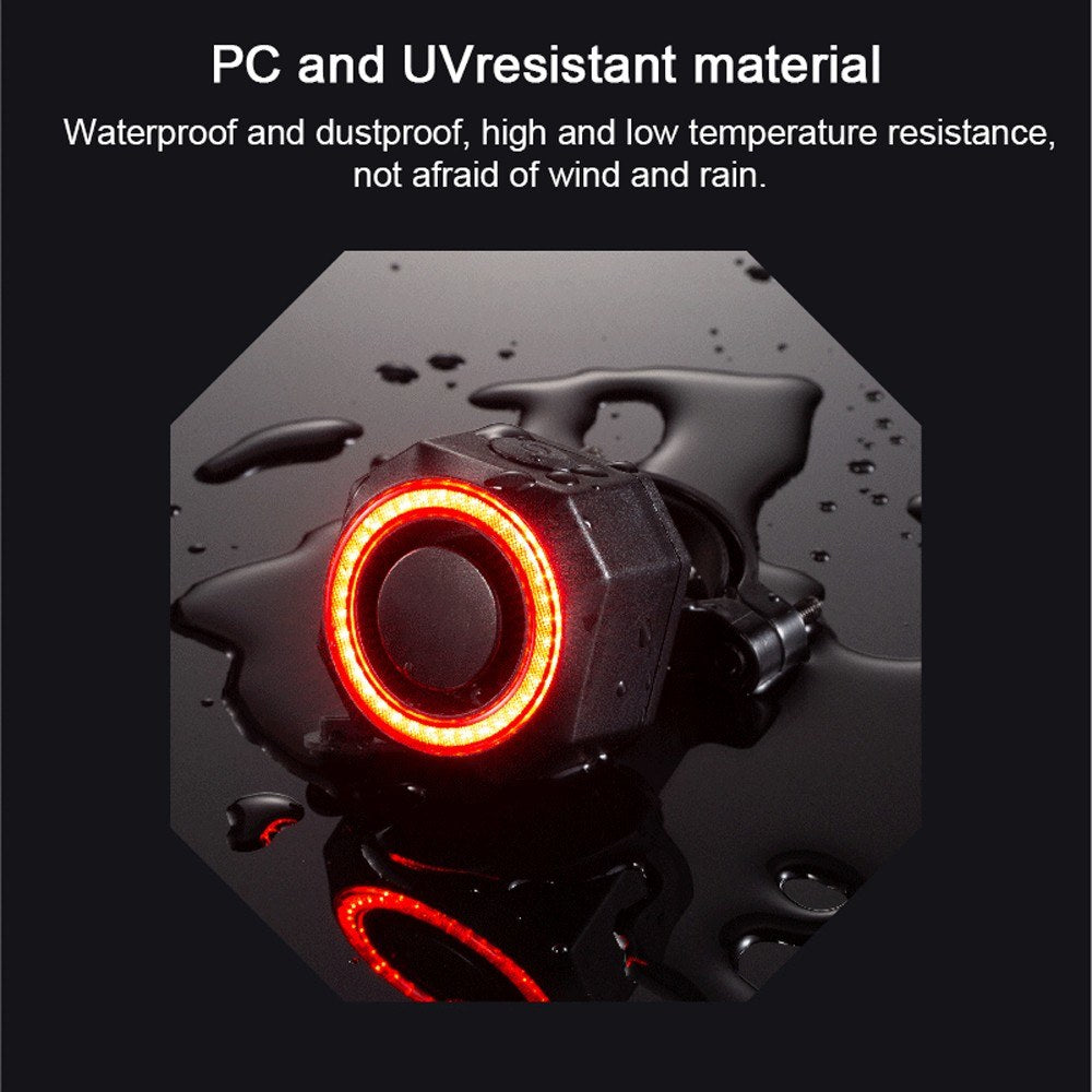 Rechargeable USB Bike Tail Light with Brake Sensor & Alarm