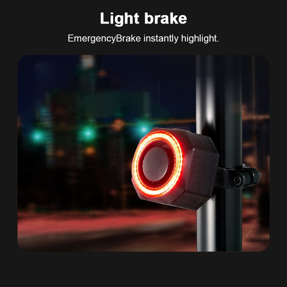 Rechargeable USB Bike Tail Light with Brake Sensor & Alarm
