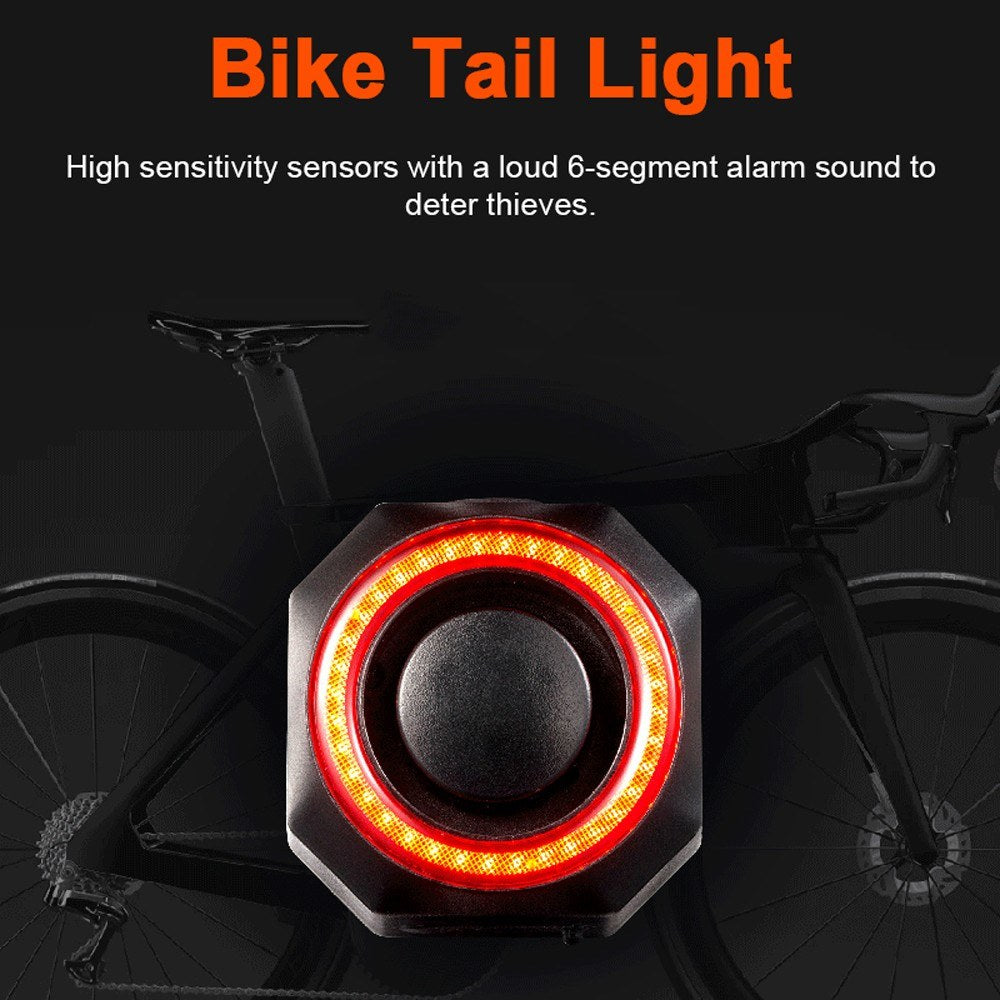 Rechargeable USB Bike Tail Light with Brake Sensor & Alarm