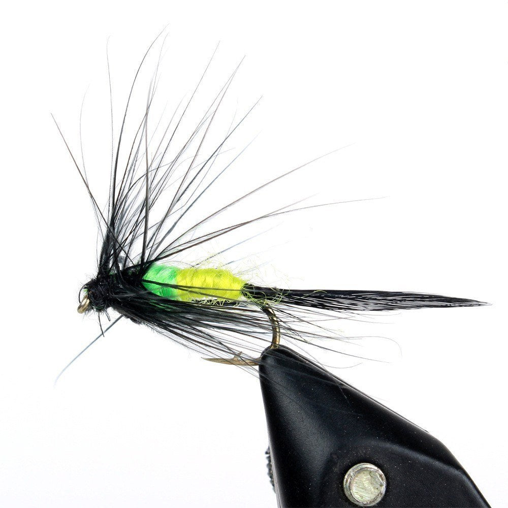 100pcs Fly Fishing Flies Kit with Box - Dry & Wet Assortment for Trout & Bass