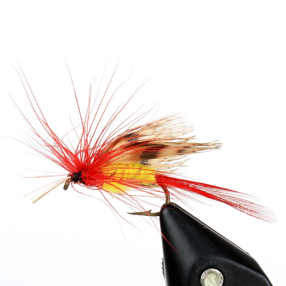 100pcs Fly Fishing Flies Kit with Box - Dry & Wet Assortment for Trout & Bass