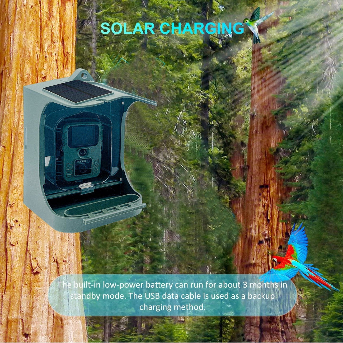1080P Solar WiFi Smart Bird Feeder Camera - Wireless & Waterproof Bird Watching