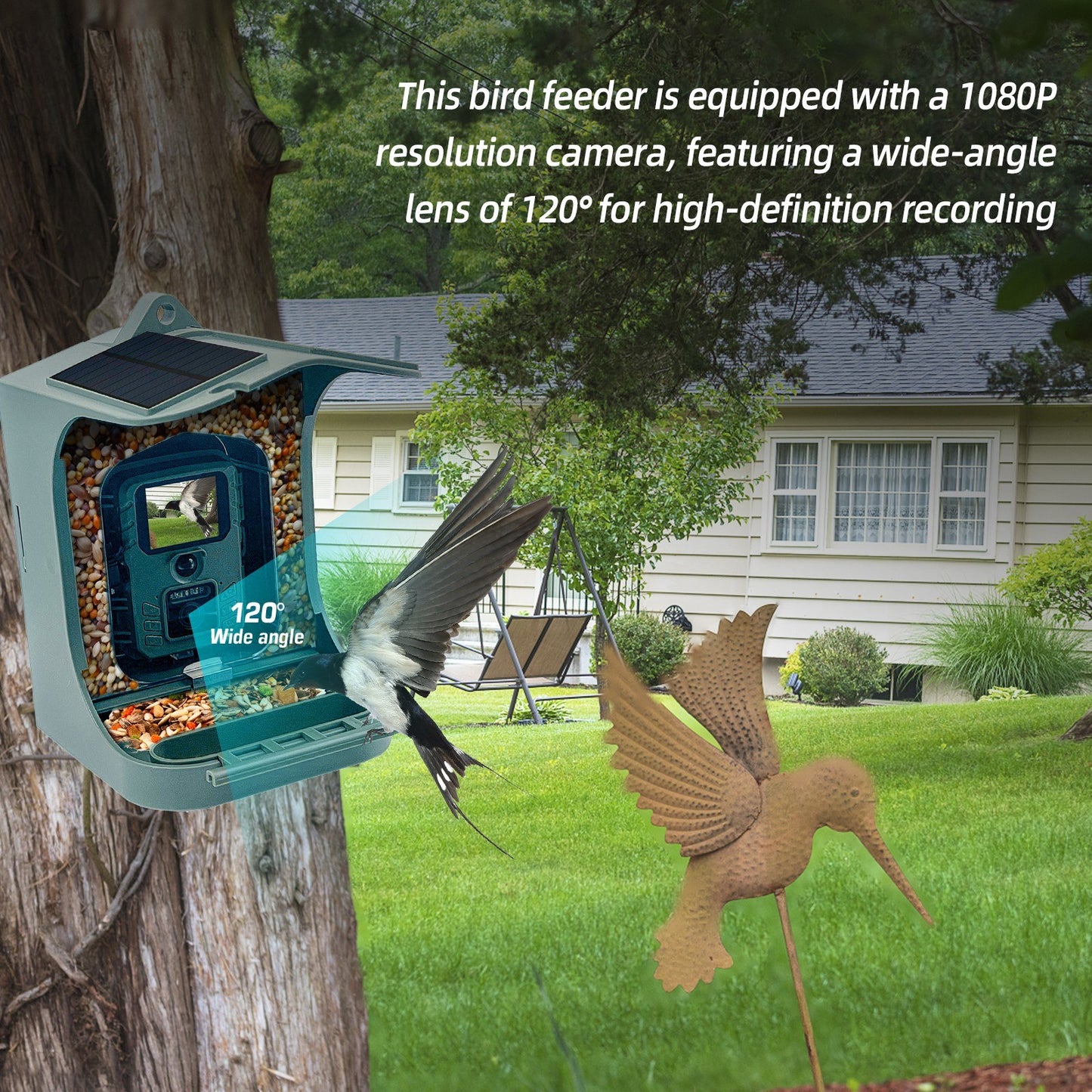 1080P Solar WiFi Smart Bird Feeder Camera - Wireless & Waterproof Bird Watching