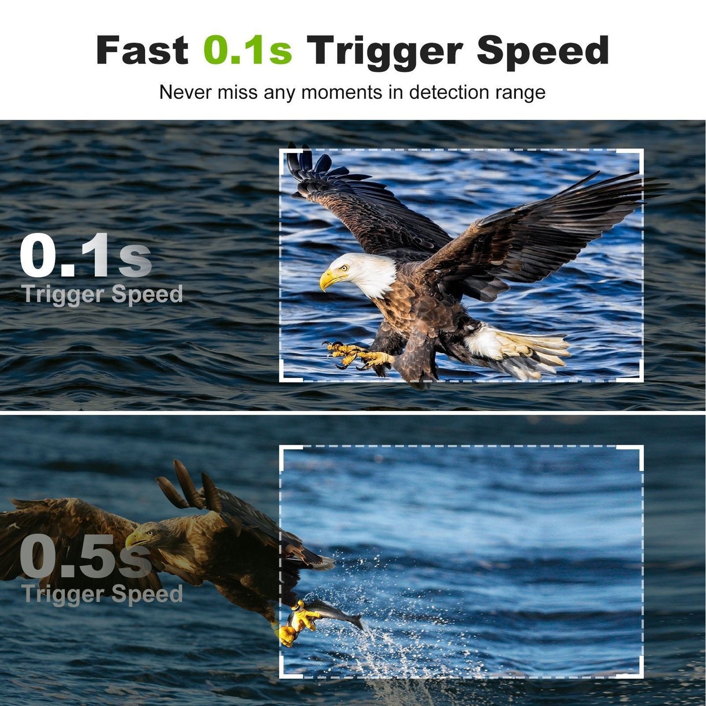 32MP Wildlife Trail Camera with Motion Activation, 1080p Video, Infrared, IP66 Waterproof, WiFi APP Control, PIR Sensor