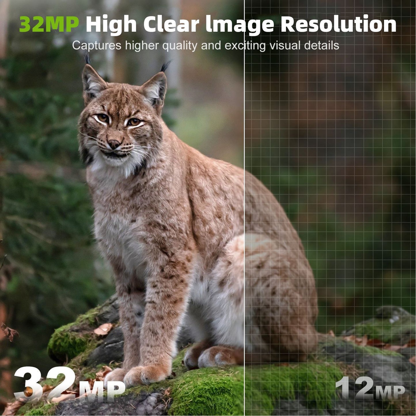 32MP WiFi Hunting & Trail Camera: High-Resolution Wildlife Monitoring, Infrared, IP66 Waterproof, PIR Motion Detection