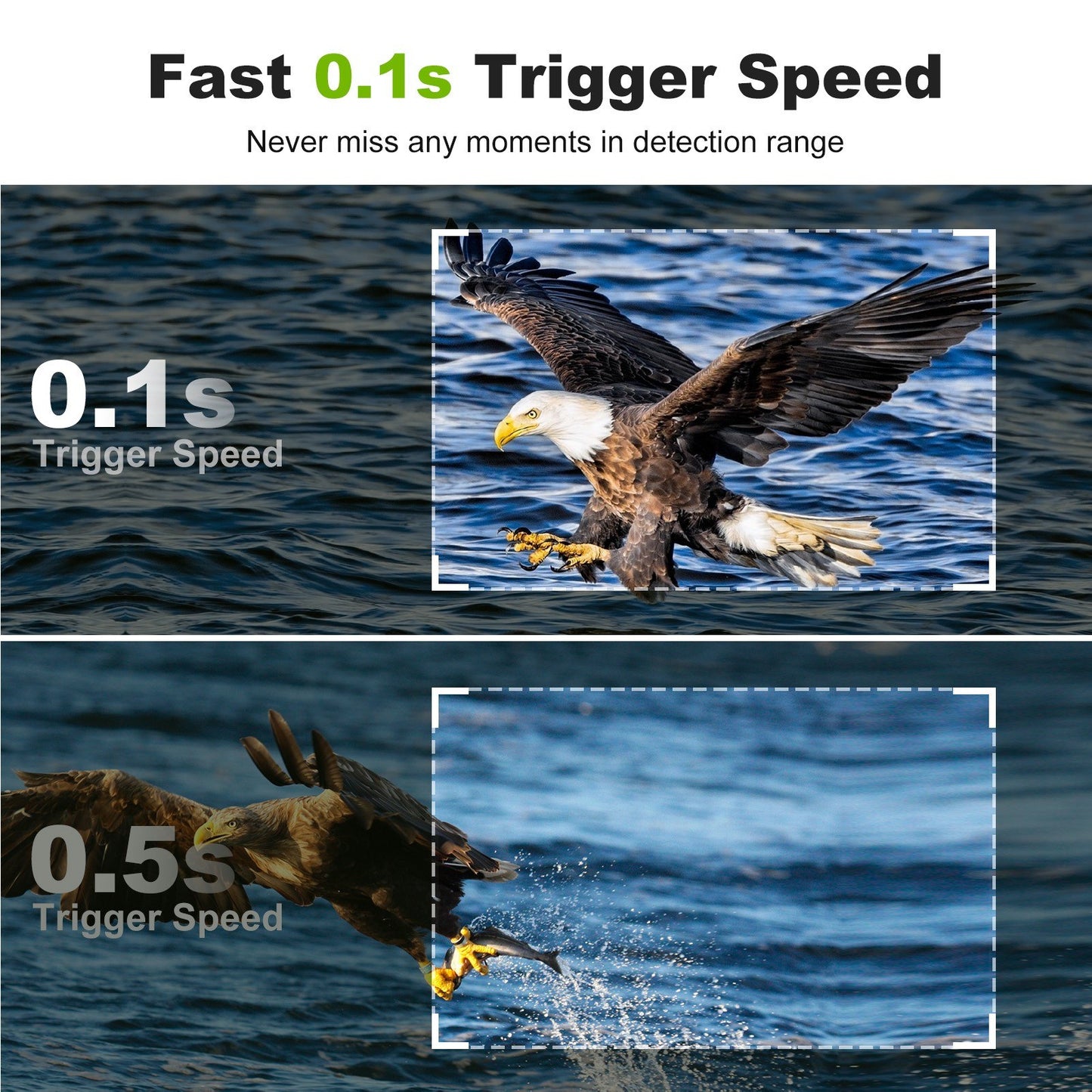 32MP WiFi Hunting & Trail Camera: High-Resolution Wildlife Monitoring, Infrared, IP66 Waterproof, PIR Motion Detection