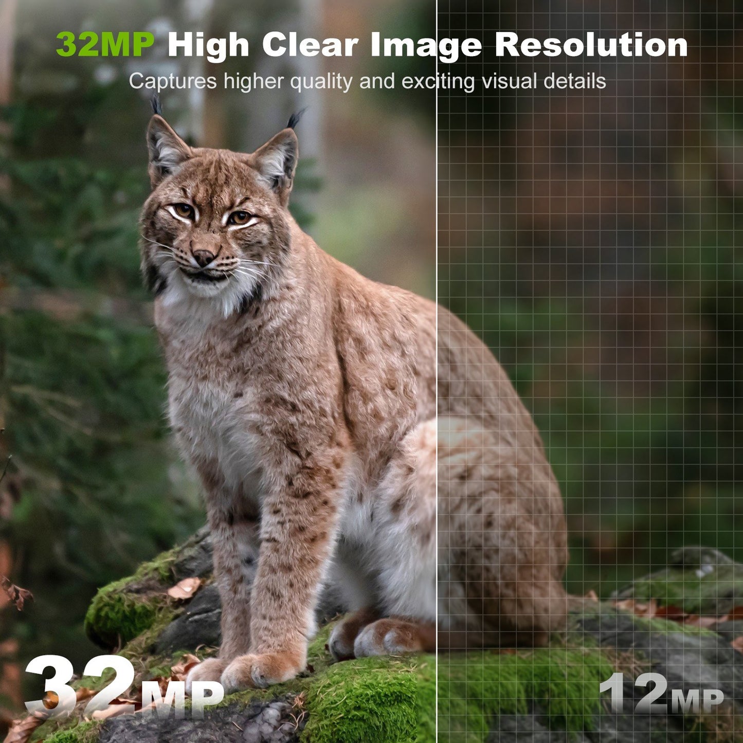 32MP Wireless Solar Trail Camera - Outdoor Wildlife & Hunting, Infrared Night Vision, WiFi, IP66 Waterproof