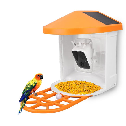 Solar-Powered Smart Bird Feeder Camera: 1080P Night Vision, AI, WiFi, Microphone & Speaker