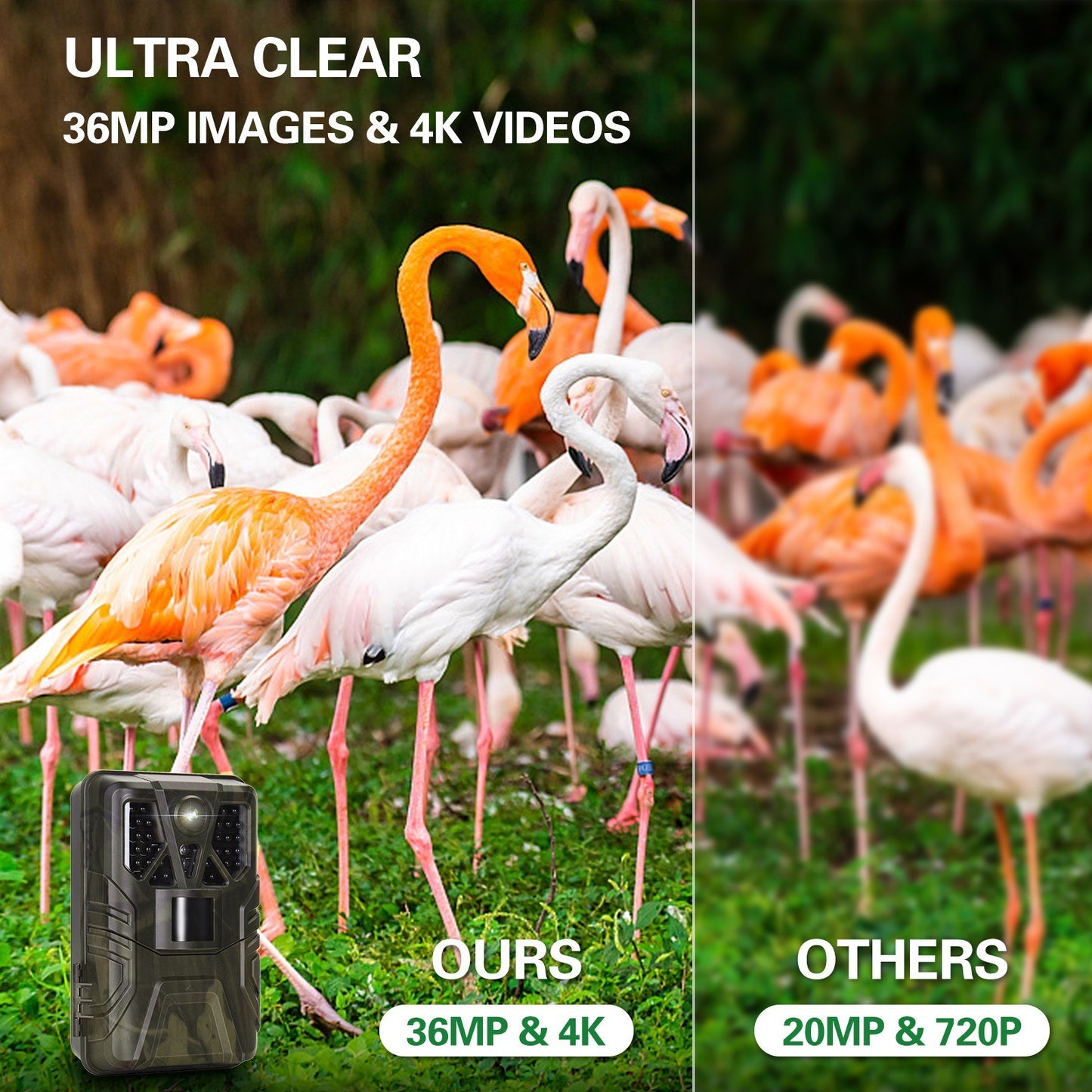 4K WiFi Trail Camera 36MP, App-Controlled Hunting Cam with 65ft Night Vision, 120° PIR Detection, IP65 Waterproof, Enhanced 5MP Sensor